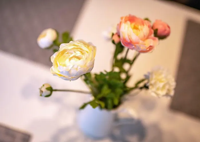 Pensionat Ganze In Am Federsee 3*