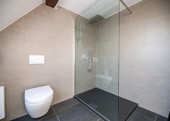 Pensionat Ganze In Am Federsee 3*